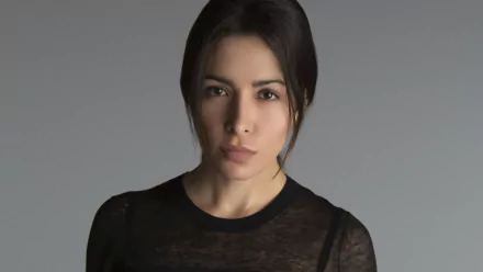 Sarah Shahi TV Show Person Of Interest HD Desktop Wallpaper | Background Image