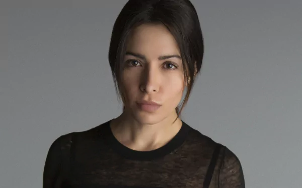 High-resolution 4K Ultra HD wallpaper of Sarah Shahi from the TV show Person of Interest, featuring a close-up portrait against a neutral background.