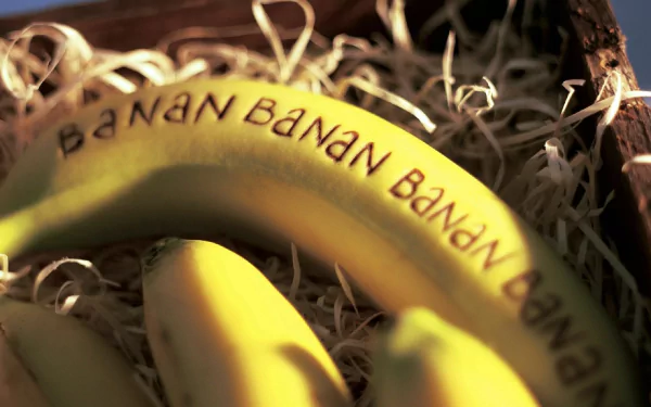 food banana HD Desktop Wallpaper | Background Image