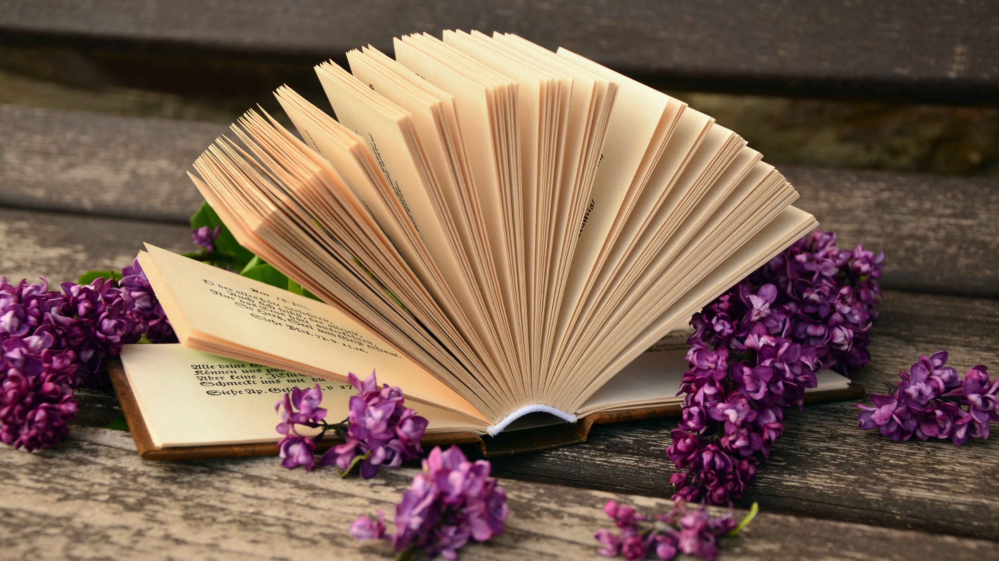 Lilac flowers and a good book by congerdesign