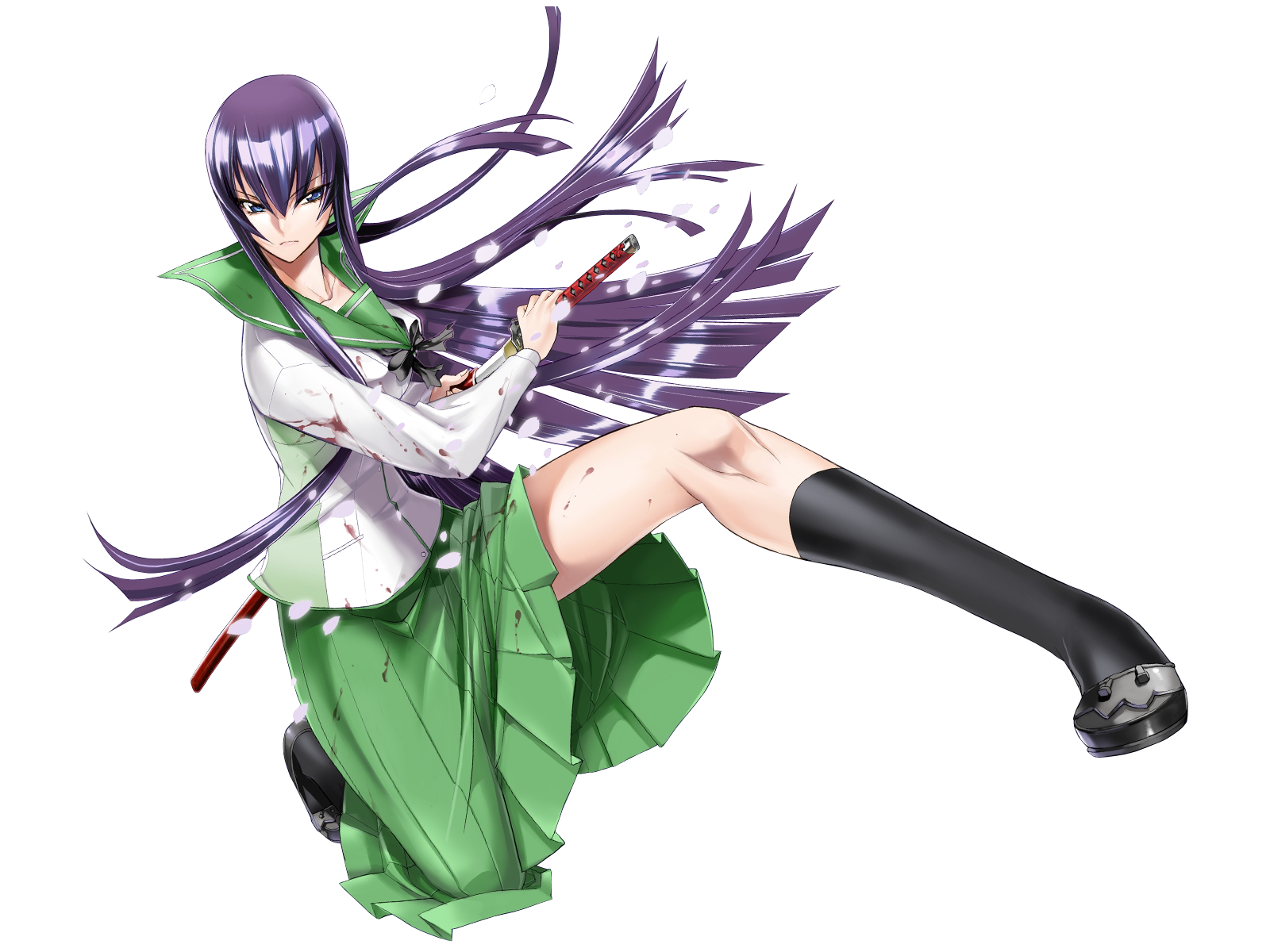 Saeko busushima