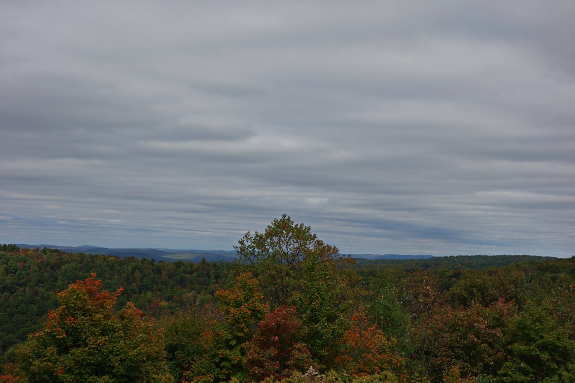 Download Nature Landscape 4k Ultra HD Wallpaper