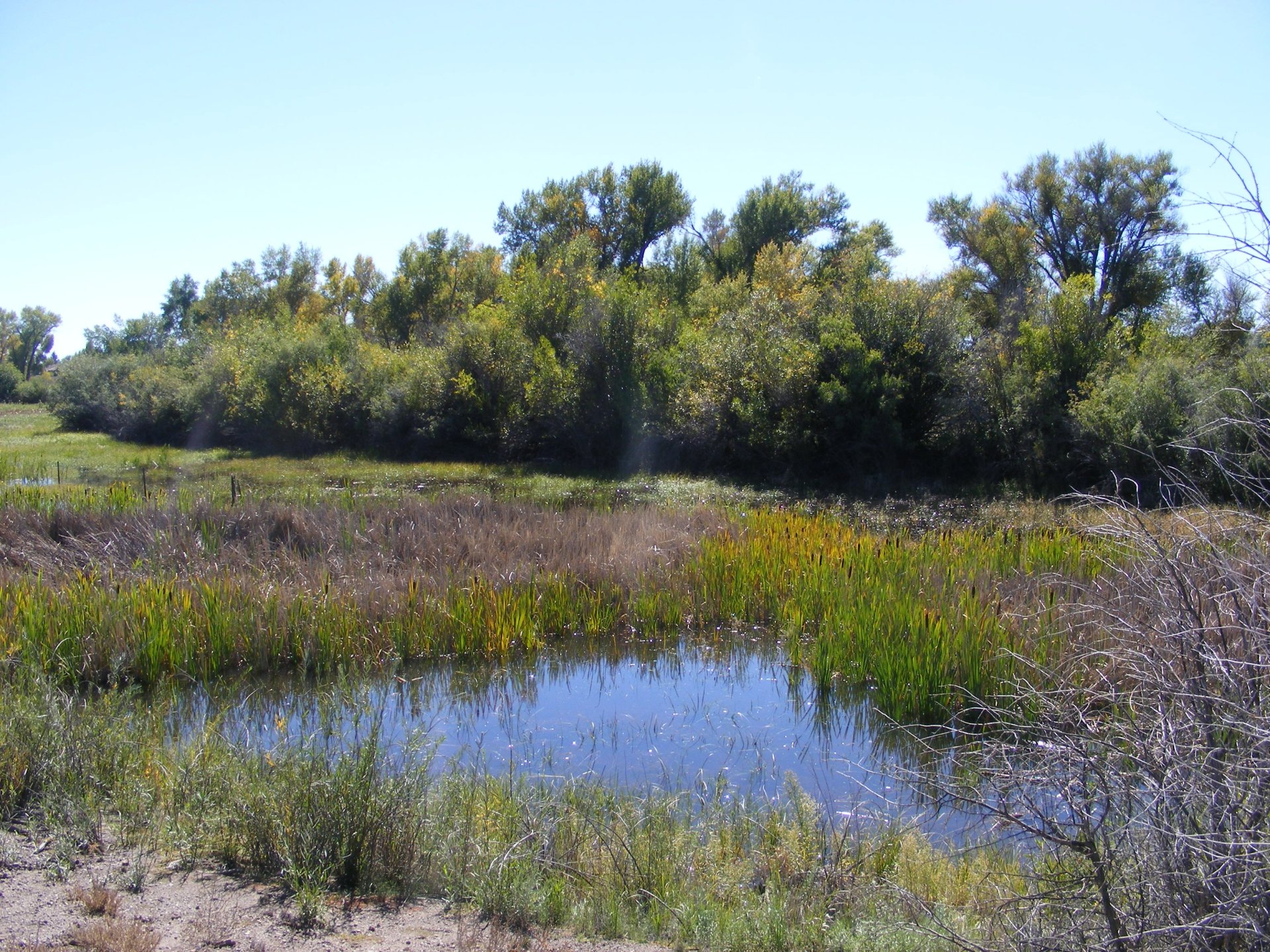 Out On The River by Deamon125