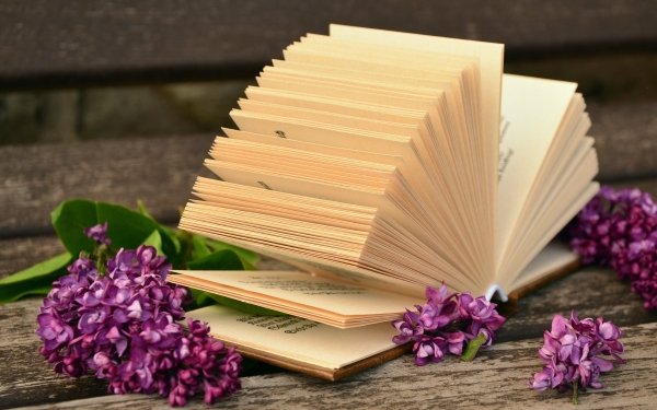 Man Made Book Lilac Flower Still Life HD Wallpaper | Background Image