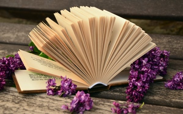 Man Made Book Lilac Flower Still Life HD Wallpaper | Background Image