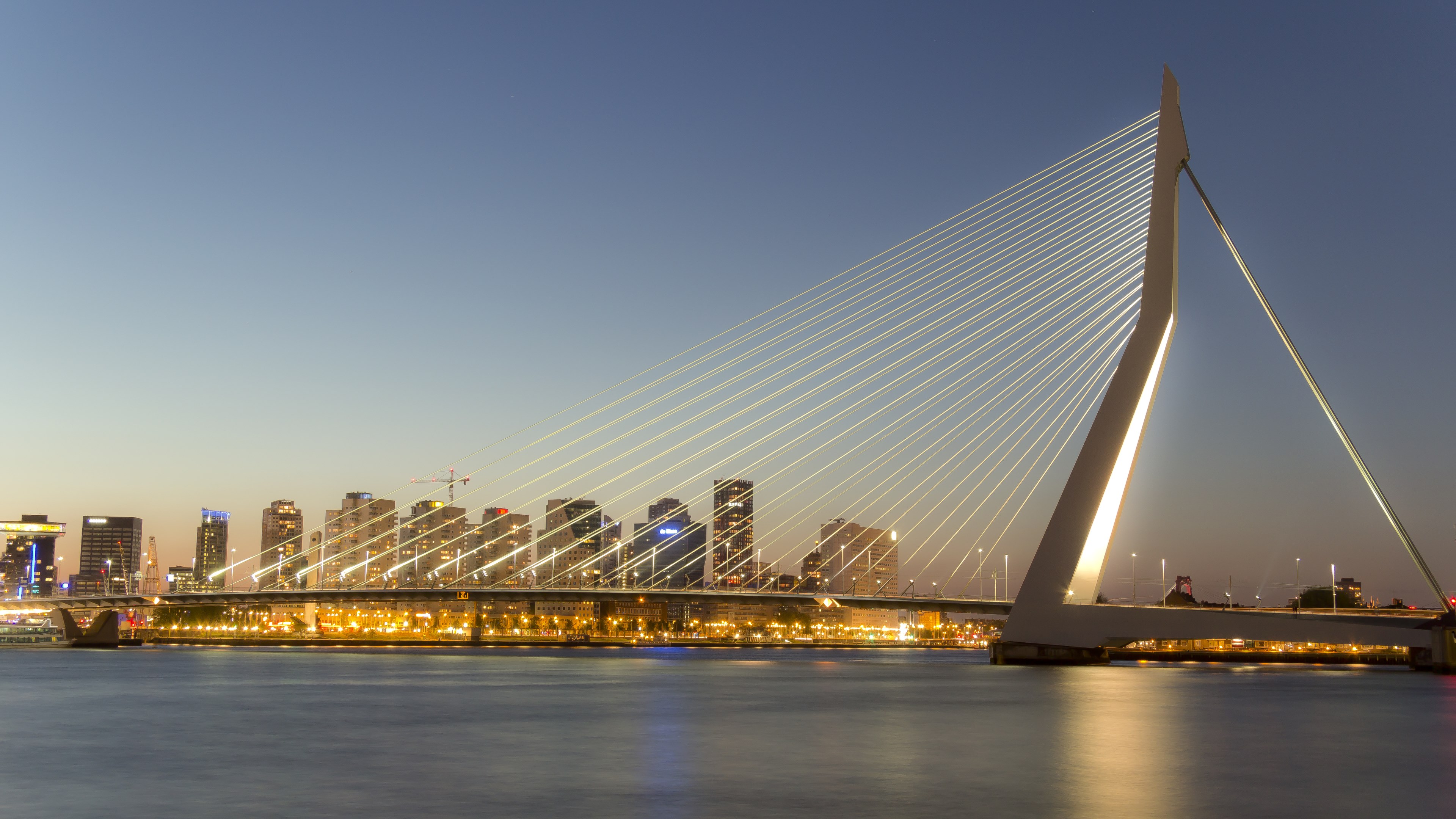 The Erasmus Bridge In Rotterdam, Netherlands with the City Lights in