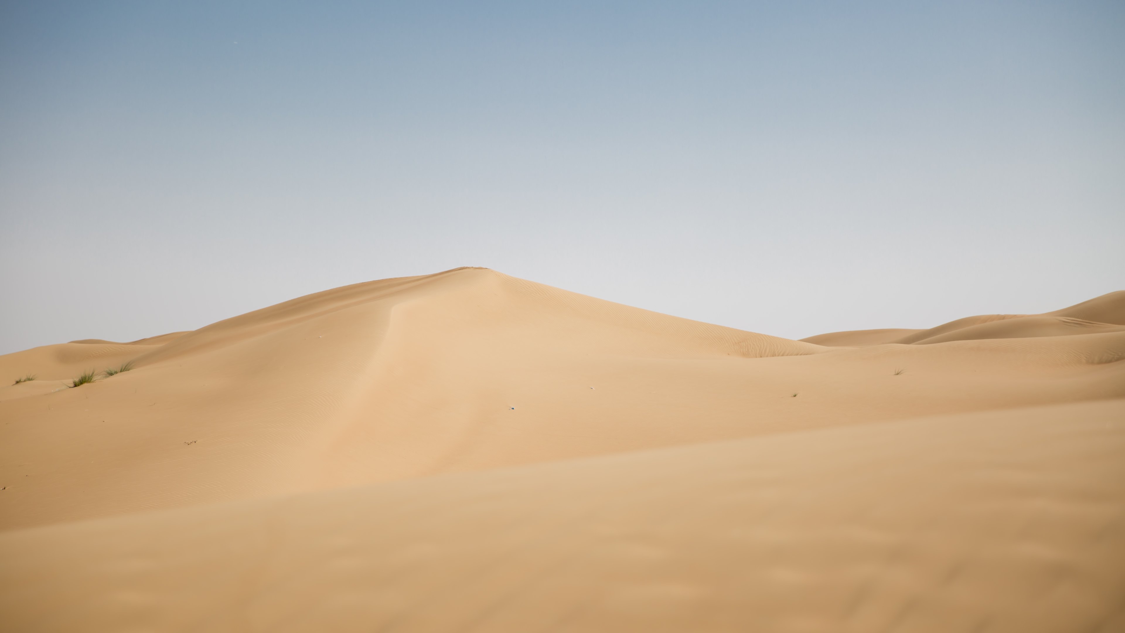 The Arabian Desert by Manuel Abdo