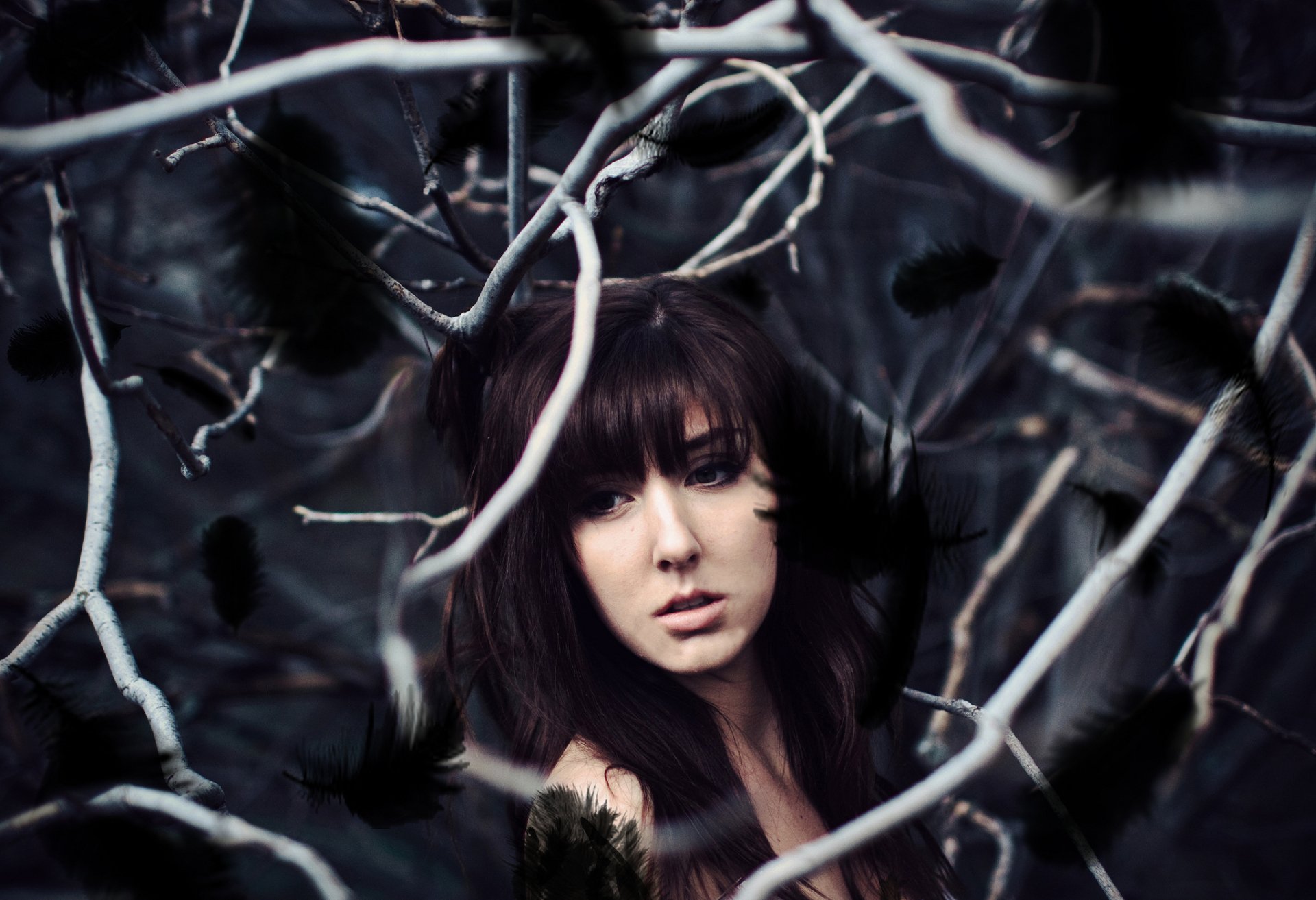 Download Brown Eyes Brunette Feather Model Woman Mood HD Wallpaper by Whitney Justesen