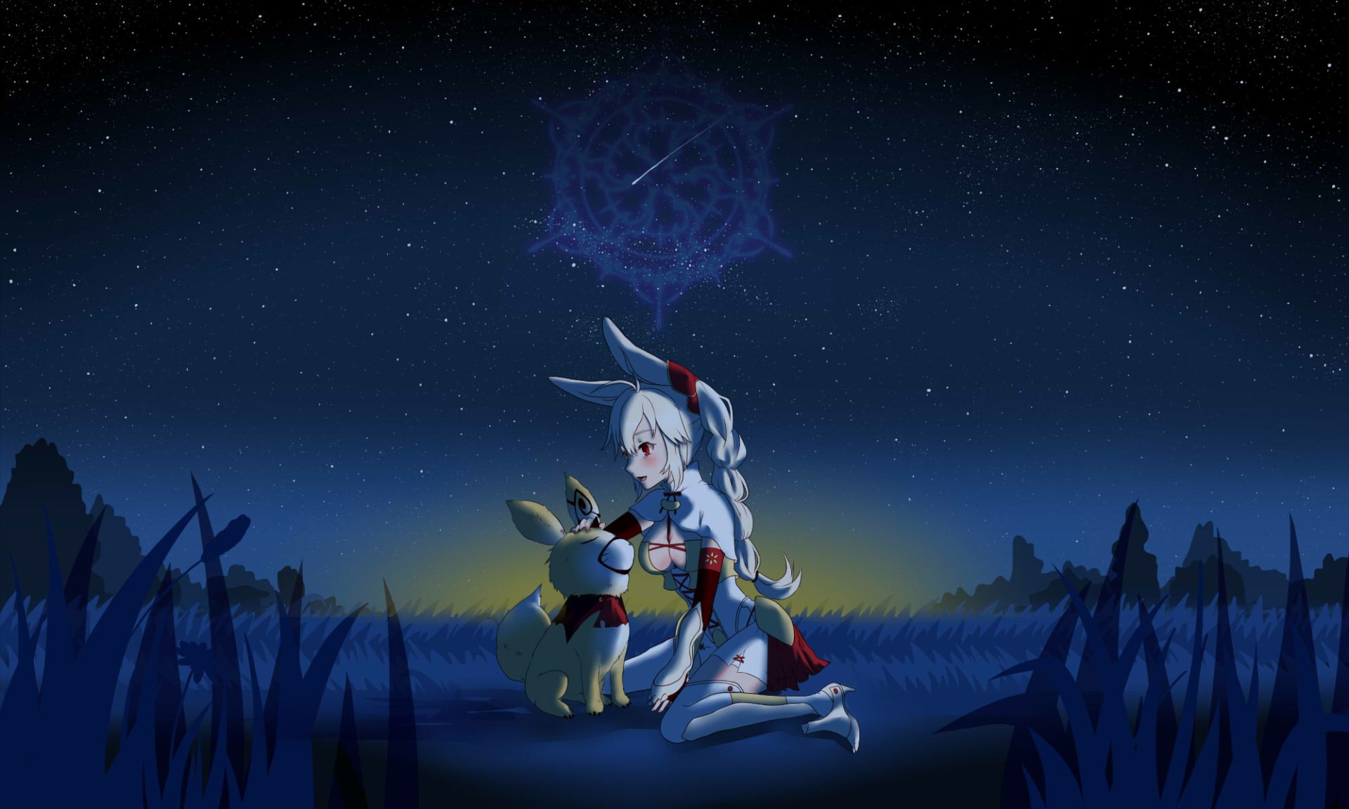 HD PC desktop wallpaper featuring Nashetania Loei Piena Augustra from the anime Rokka: Braves of the Six Flowers, sitting with a small animal under a night sky.