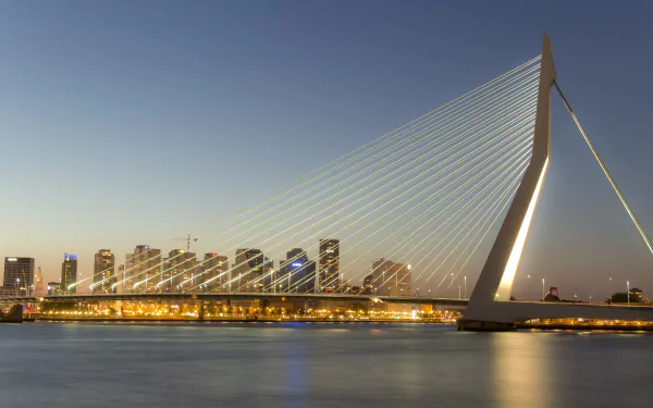  The Erasmus Bridge In Rotterdam, Netherlands with the City Lights in the Background by Luke Price