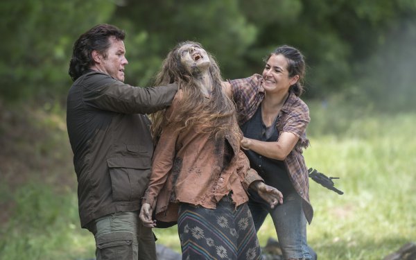 TV Show The Walking Dead HD Wallpaper | Background Image