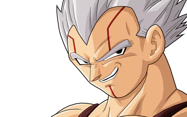 HD wallpaper featuring Vegeta from Dragon Ball Z, showcasing his iconic look with spiky white hair and a confident expression. A vibrant addition to any anime fan's background.