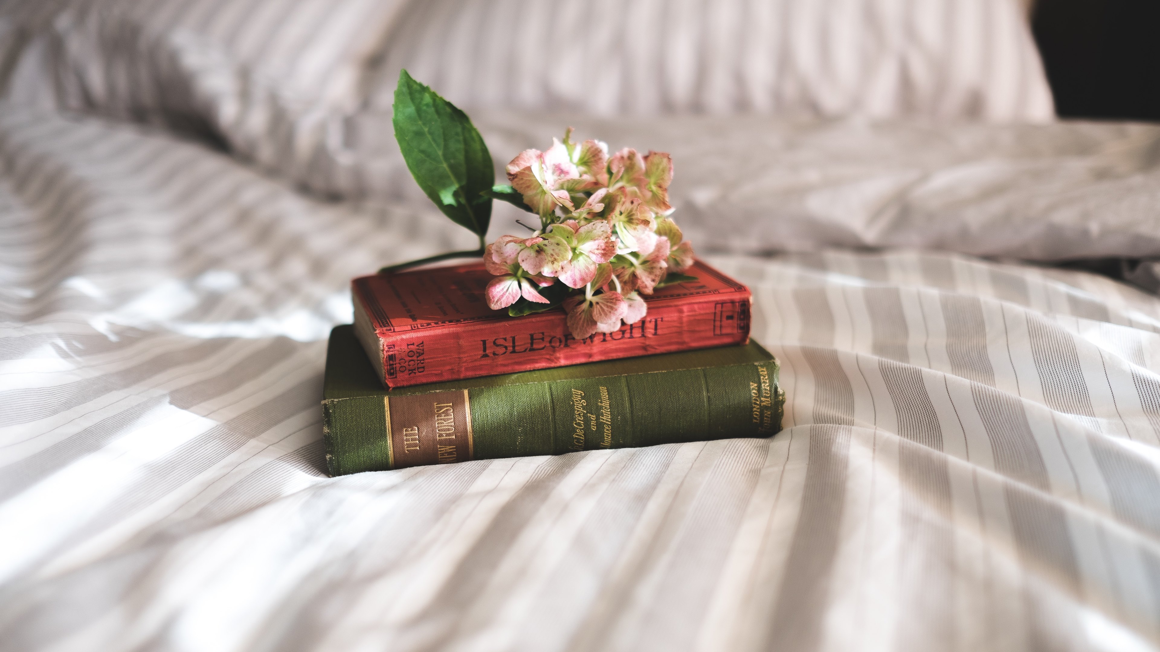 Books and flowers on the photographers bed by Annie Spratt