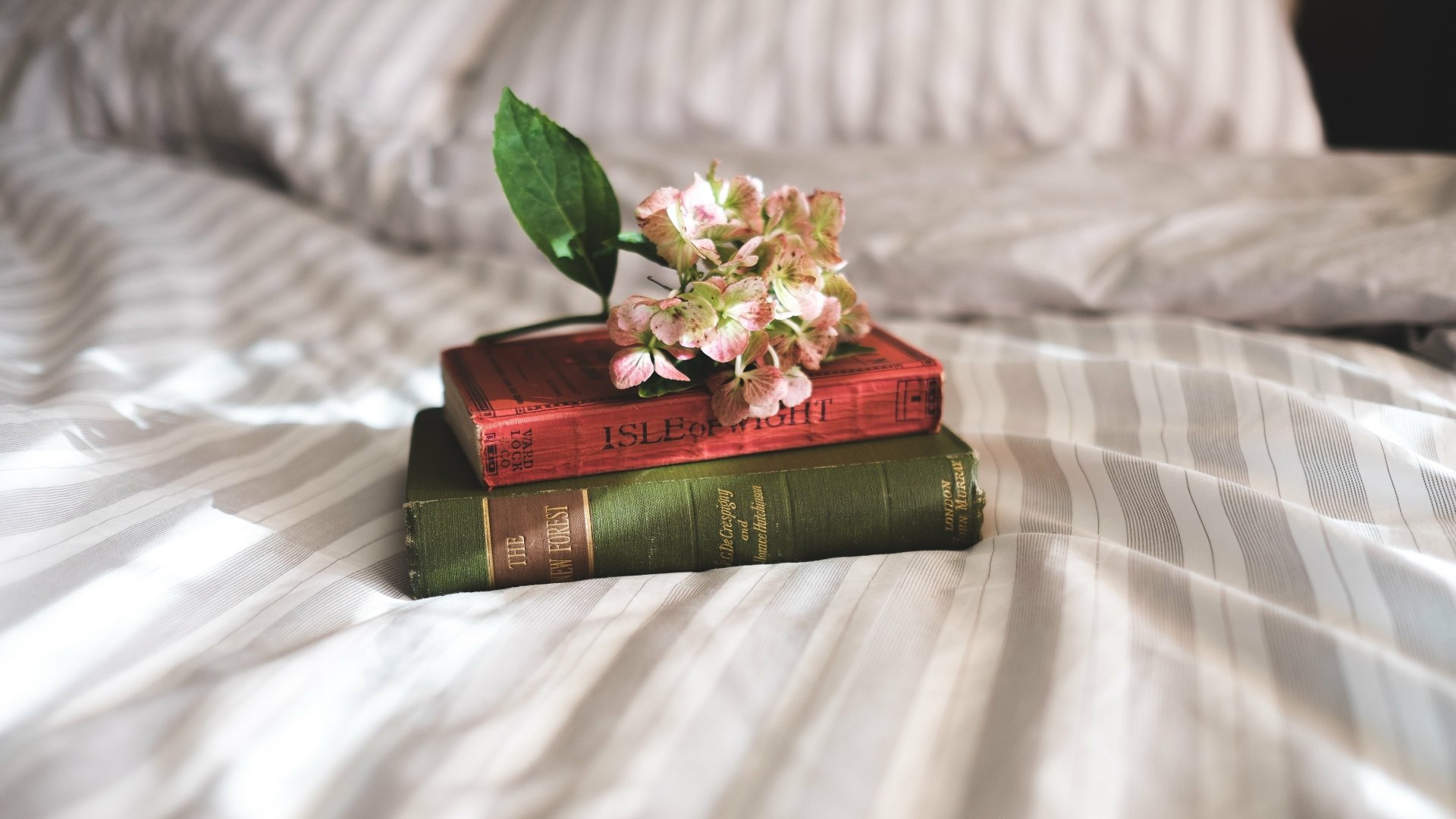 A still life composition featuring two stacked books with a flower placed on top, set against a softly striped bedspread. This 4K Ultra HD image captures a cozy, inviting atmosphere.