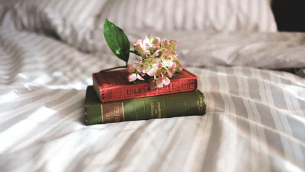 A still life composition featuring two stacked books with a flower placed on top, set against a softly striped bedspread. This 4K Ultra HD image captures a cozy, inviting atmosphere.