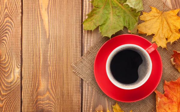 maple leaf cup leaf food coffee HD Desktop Wallpaper | Background Image