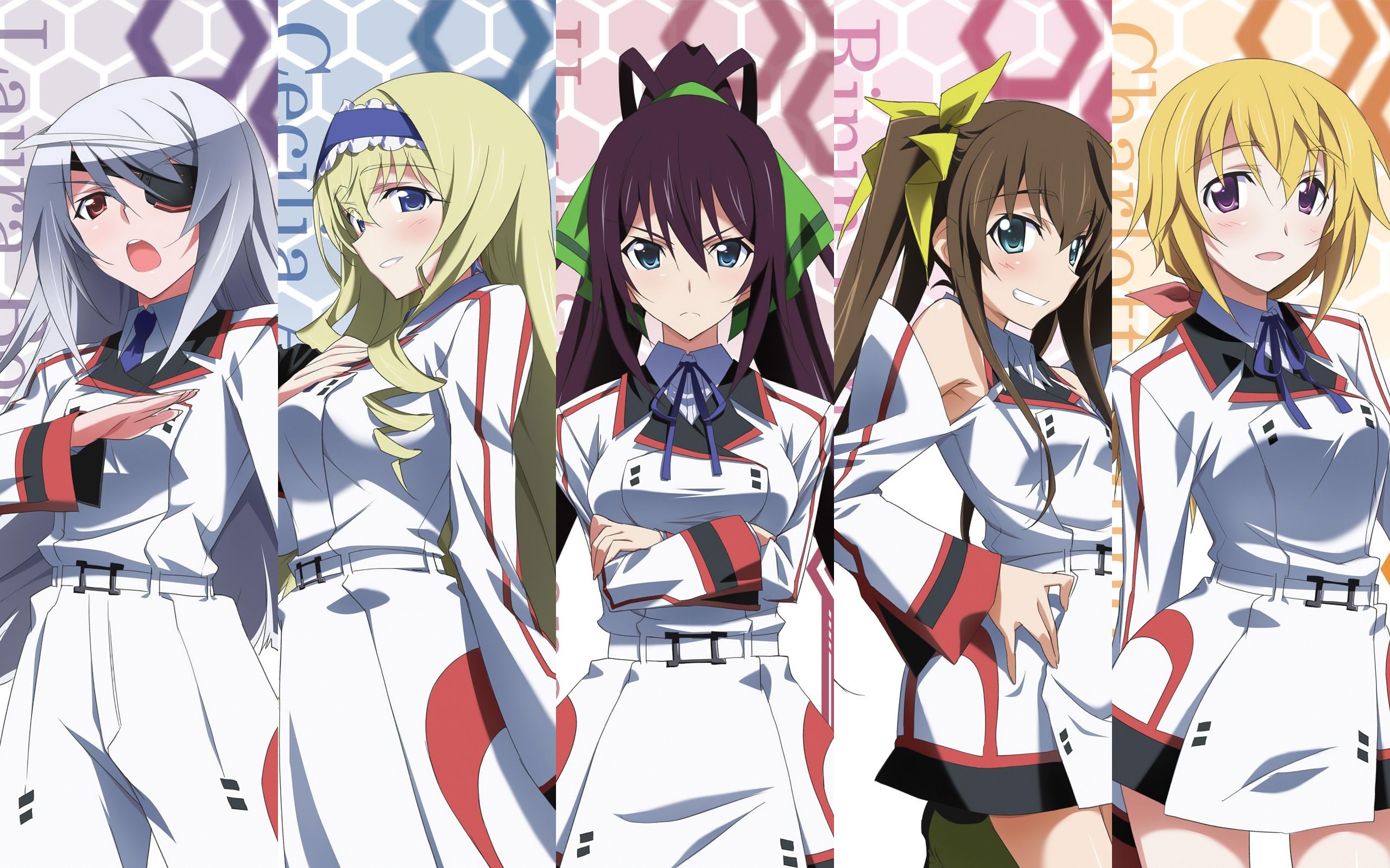 Anime wallpaper infinite stratos 1920x1200 129127 es