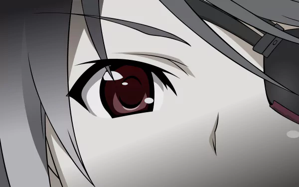 Anime Infinite Stratos HD Desktop Wallpaper | Background Image