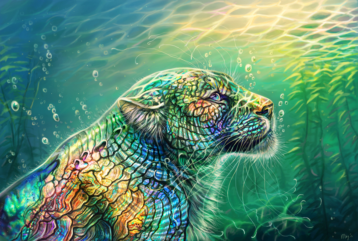 Cheetah male of seas Wallpaper and Background Image | 1366x920