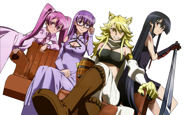 Anime Akame ga Kill! Mine Sheele Leone Akame HD Wallpaper | Background Image