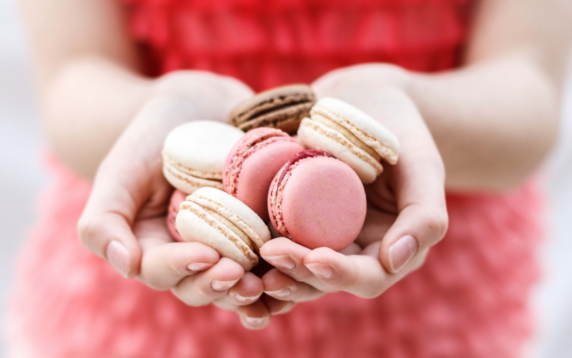 HD PC desktop wallpaper: close-up of hands holding assorted colorful macarons against a soft pink background — food, macaron.