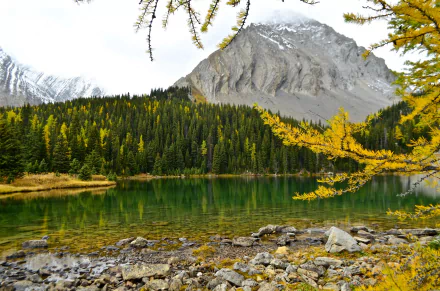 A serene fall scene in Alberta, Canada, featuring a calm lake, dense forest with autumn foliage, and a towering mountain under a cloudy sky.
