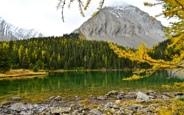 A serene fall scene in Alberta, Canada, featuring a calm lake, dense forest with autumn foliage, and a towering mountain under a cloudy sky.