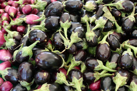 food eggplant HD Desktop Wallpaper | Background Image
