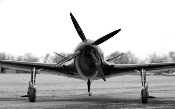 vehicle Bugatti Model 100 HD Desktop Wallpaper | Background Image