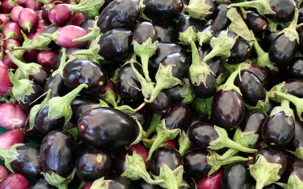 food eggplant HD Desktop Wallpaper | Background Image