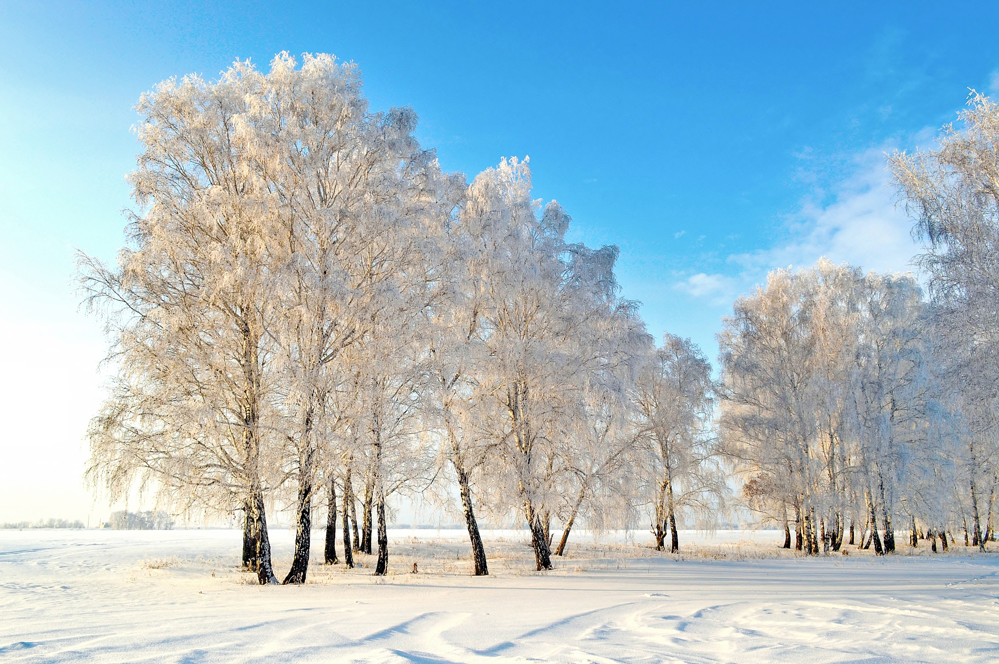 Invierno Fondo de pantalla HD | Fondo de Escritorio | 2054x1365 | ID ...