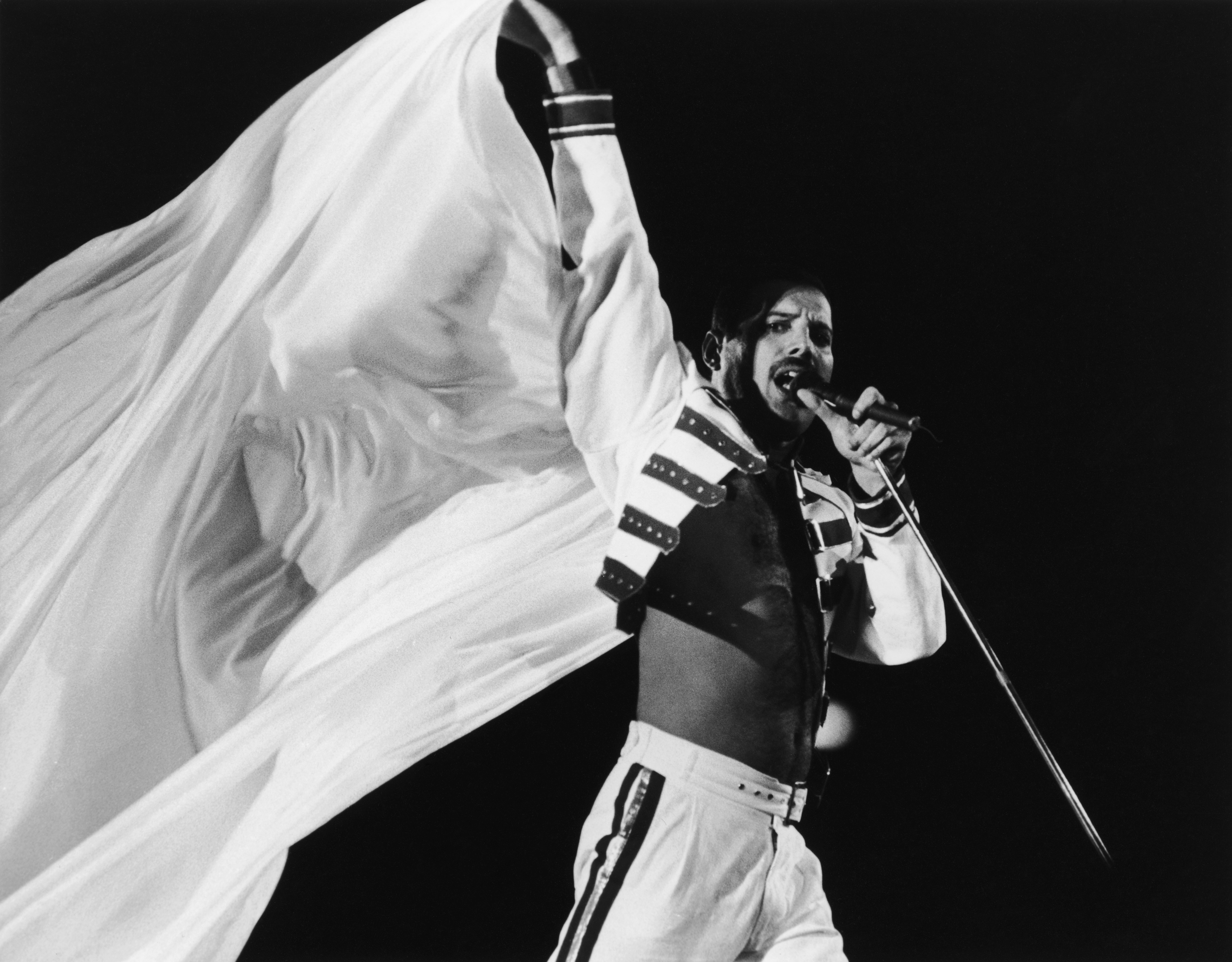 Music Freddie Mercury HD Wallpaper | Background Image