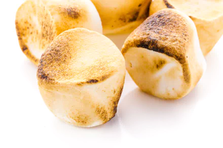  Toasted Marshmallows