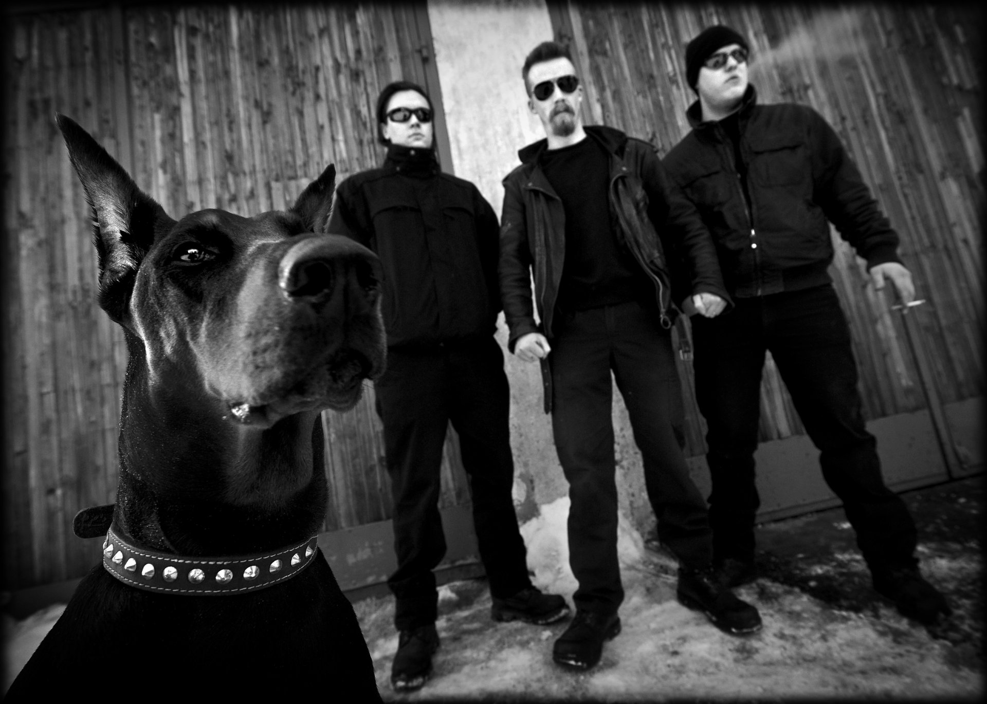 Download Music Raubtier HD Wallpaper