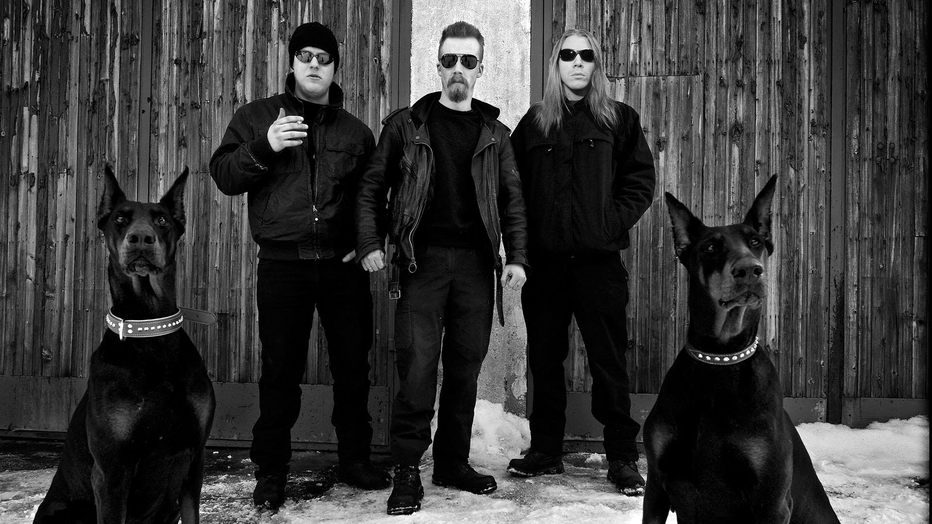 Download Music Raubtier HD Wallpaper