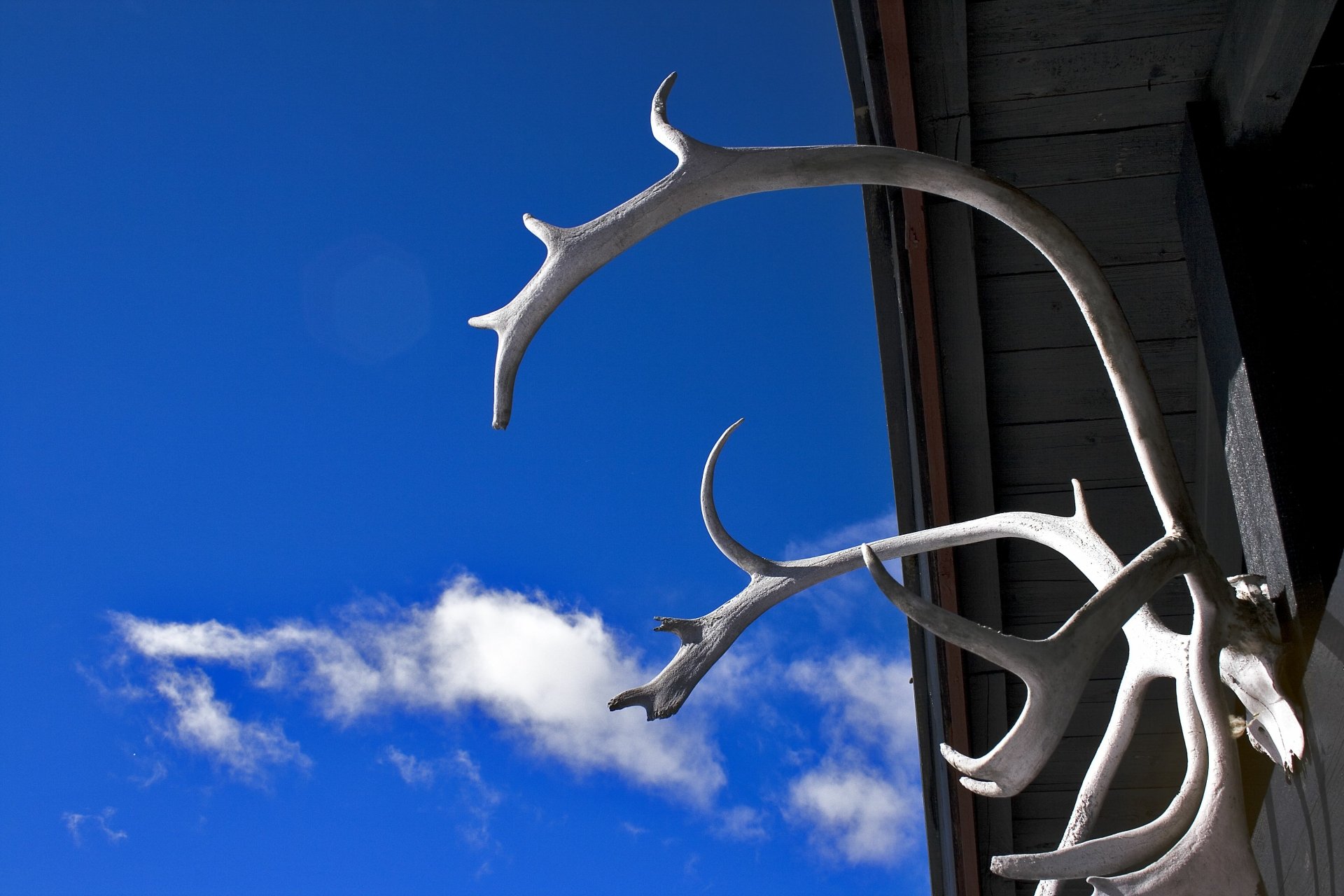 Download Cloud Sky Photography Antler 4k Ultra HD Wallpaper