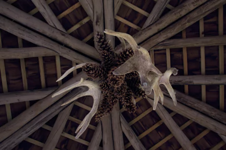 photography antler HD Desktop Wallpaper | Background Image