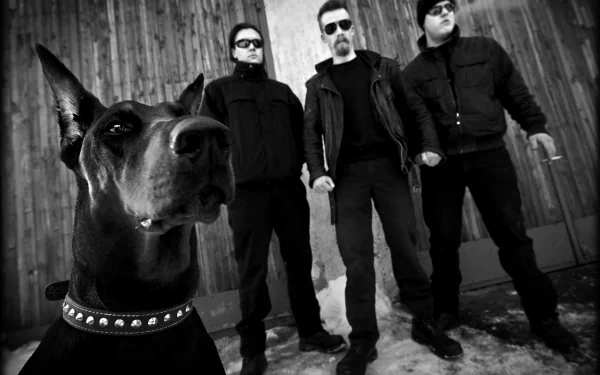 music Raubtier HD Desktop Wallpaper | Background Image