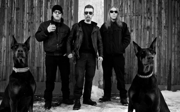 music Raubtier HD Desktop Wallpaper | Background Image