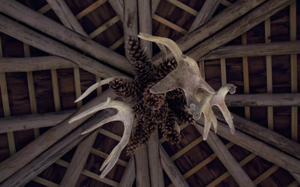 photography antler HD Desktop Wallpaper | Background Image