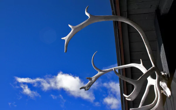 cloud sky photography antler HD Desktop Wallpaper | Background Image