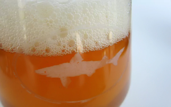 Close-up of a foamy beer glass with a shark silhouette in amber liquid, presented as a 4K Ultra HD PC desktop wallpaper background.