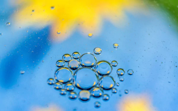 photography bubble HD Desktop Wallpaper | Background Image