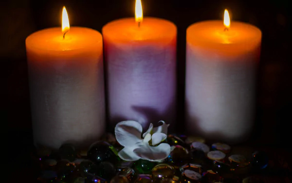 Photography: three lit pillar candles with a white orchid resting on glass beads, soft warm glow on dark backdrop — 4K Ultra HD PC desktop wallpaper and background.