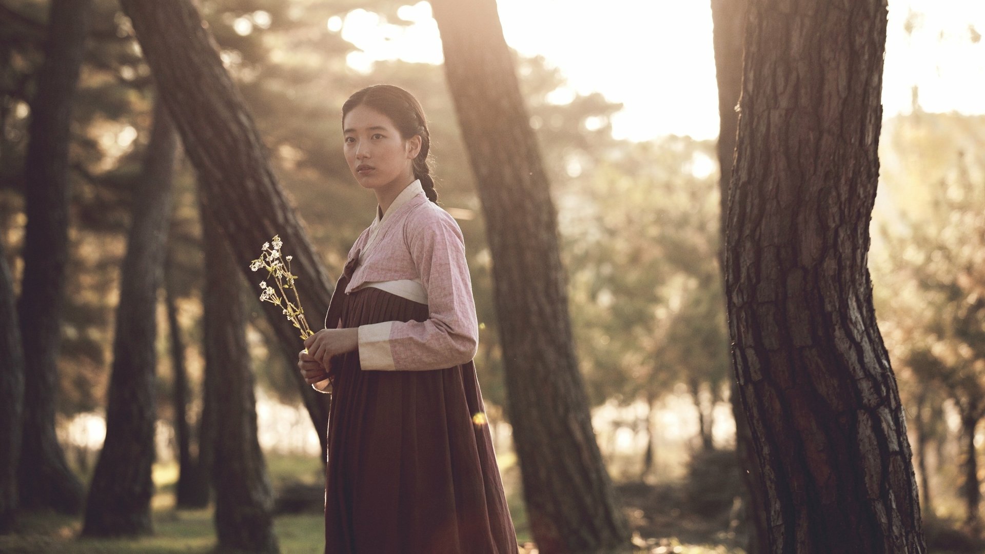 Download Movie The Sound Of A Flower HD Wallpaper