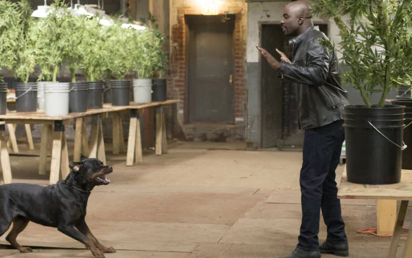 Mike Colter TV Show Jessica Jones HD Desktop Wallpaper | Background Image