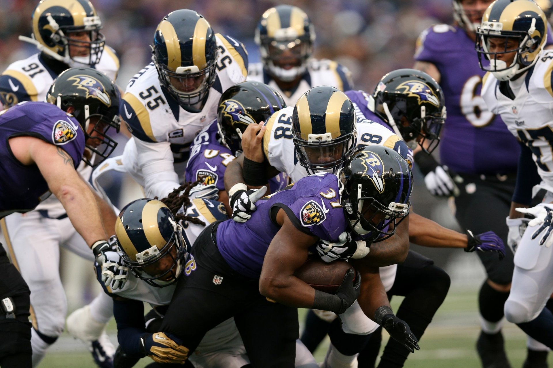 Download Baltimore Ravens Sports HD Wallpaper