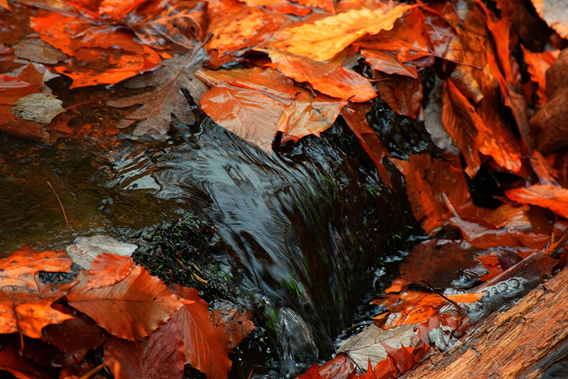 4K Ultra HD PC desktop wallpaper depicting a close-up of a natural stream flowing over rocks, surrounded by vibrant orange and red autumn leaves.