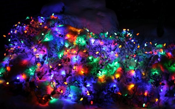 Holiday Christmas Christmas Lights Snow HD Wallpaper | Background Image