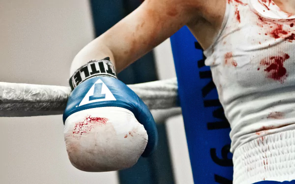 boxing Sports HD Desktop Wallpaper | Background Image